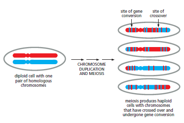 Figure 5-53.png